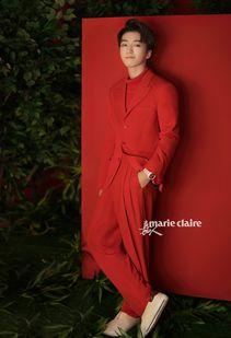 明星大爆料王俊凯视频,明星大爆料视频中的真实瞬间  第2张